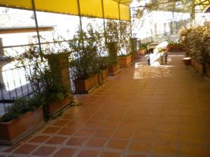 Attività/licenza in affitto a Forlì