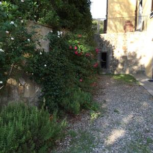Loft in affitto a Montelupo Fiorentino
