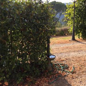 Loft in affitto a Montelupo Fiorentino