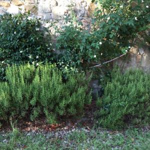 Loft in affitto a Montelupo Fiorentino