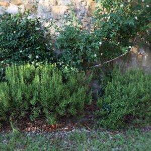 Loft in affitto a Montelupo Fiorentino