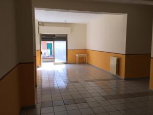 Fondo Artigianale in affitto a Vinci