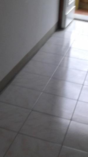 Fondo Artigianale in affitto a Empoli