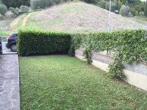 Appartamento in affitto a Vinci