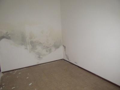 Negozio in affitto a Forlì