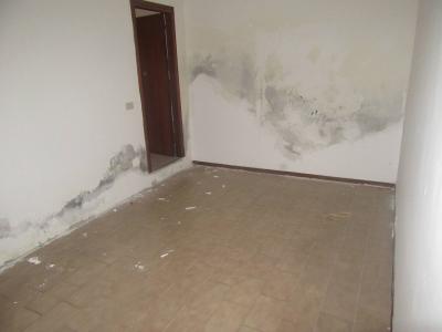 Negozio in affitto a Forlì