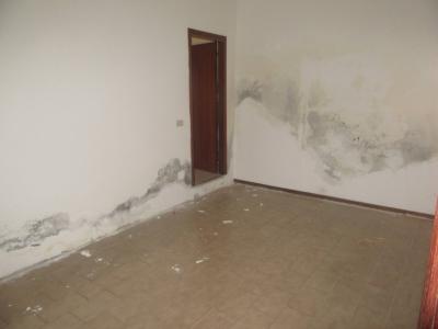 Negozio in affitto a Forlì