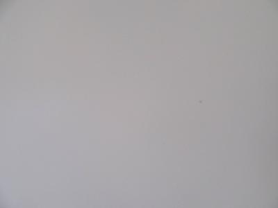 Fondo Commerciale in affitto a Forlimpopoli