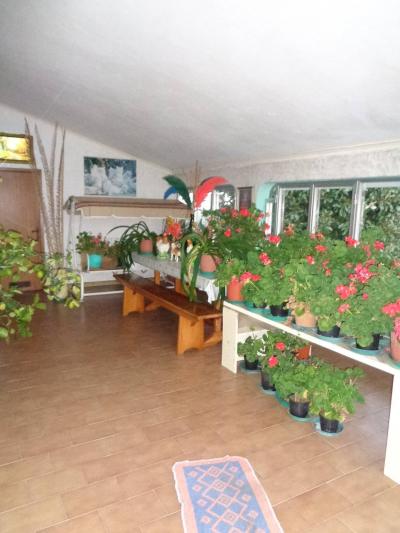 Appartamento in affitto a Gambettola