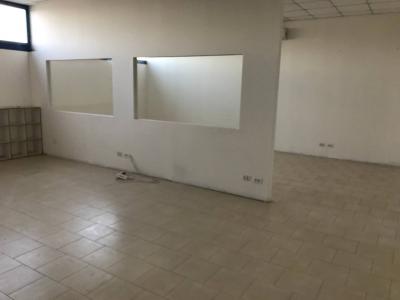 Capannone in affitto a Montelupo Fiorentino