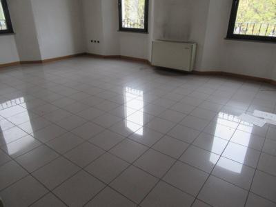 Ufficio in affitto a Forlì