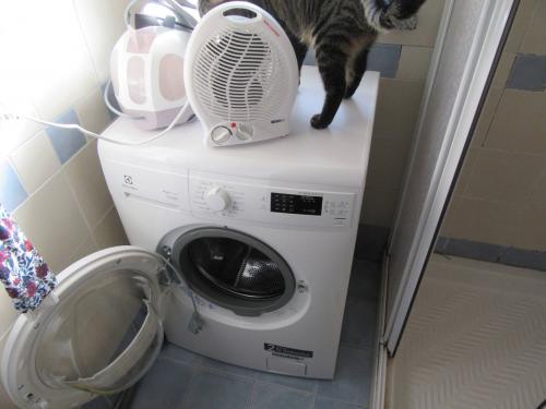 Appartamento in affitto a Forlì