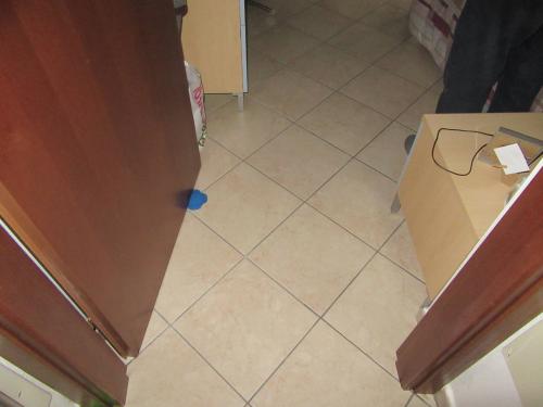 Appartamento in affitto a Forlì