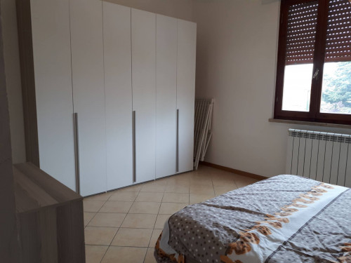 Appartamento in affitto a Santa Croce sull'Arno