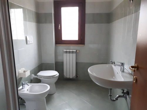 Appartamento in affitto a Santa Croce sull'Arno