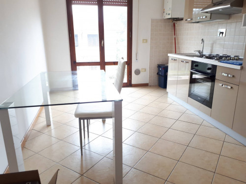 Appartamento in affitto a Santa Croce sull'Arno