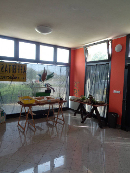 Negozio in affitto a Savignano sul Rubicone