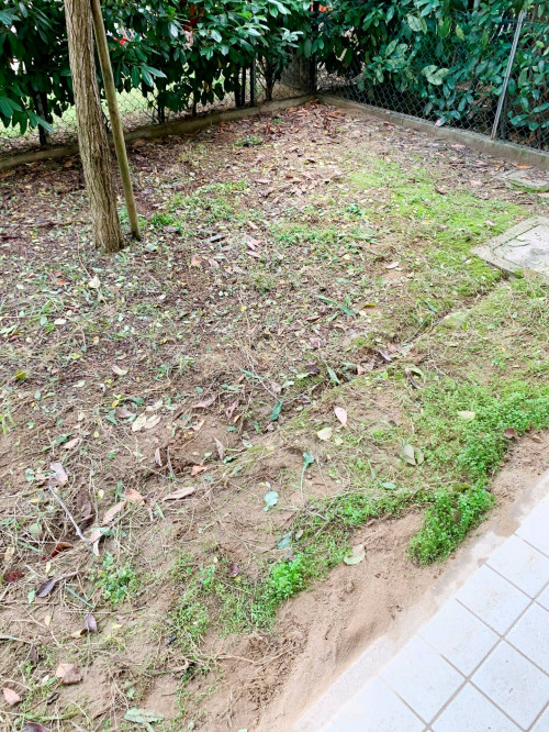 Casa semi indipendente in affitto a Russi