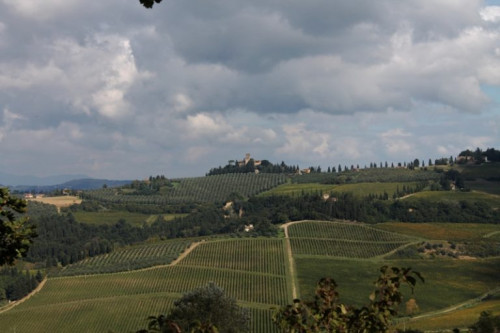 Appartamento in affitto a Montespertoli