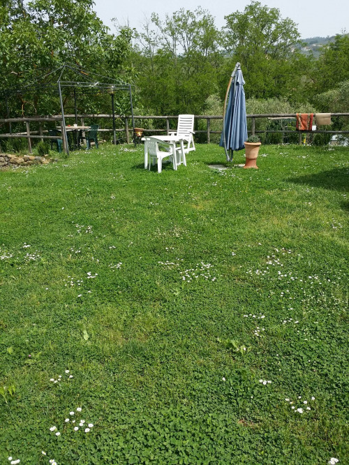 Stanza in affitto a Vinci