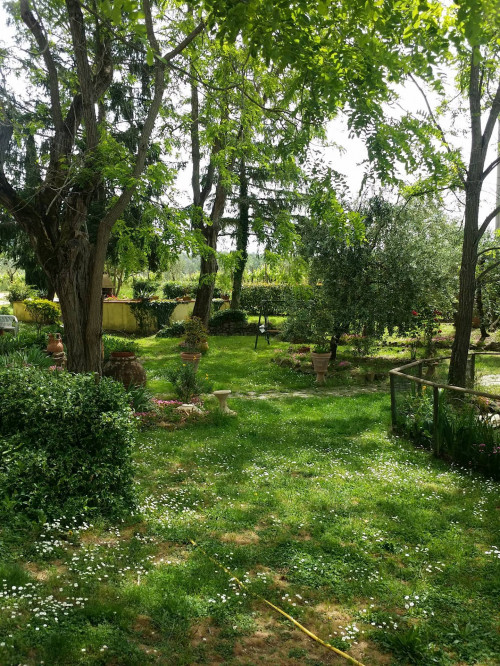 Stanza in affitto a Vinci