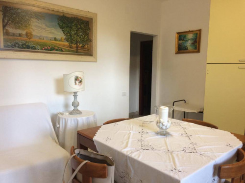 Appartamento in affitto a Cecina
