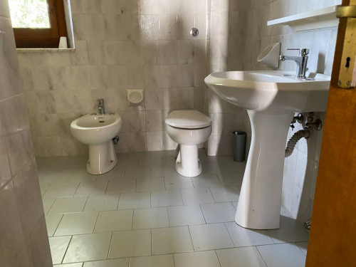 Appartamento in affitto a Capraia e Limite