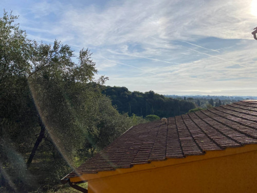 Appartamento in affitto a Capraia e Limite
