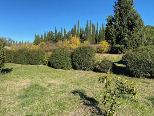 Appartamento in affitto a Montespertoli