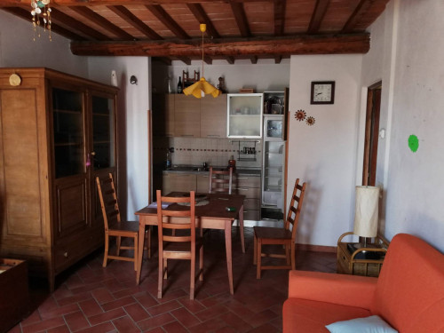 Appartamento in affitto/vendita a Montaione