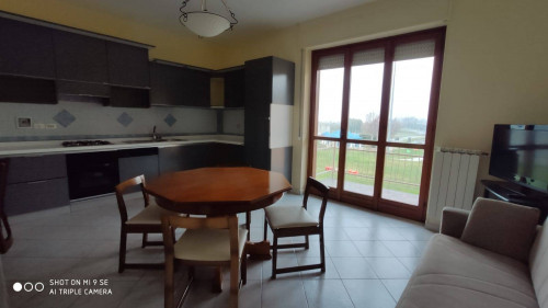 Appartamento in affitto a Rondissone