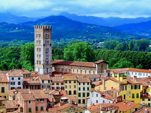 Attività commerciale in affitto a Centro Storico, Lucca (LU)