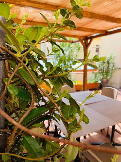 Casa indipendente in affitto a Firenze