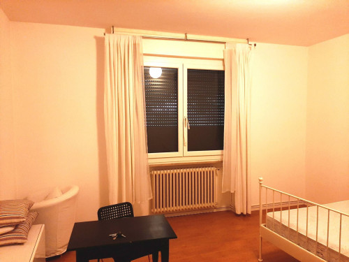 Stanza in affitto a Ravenna