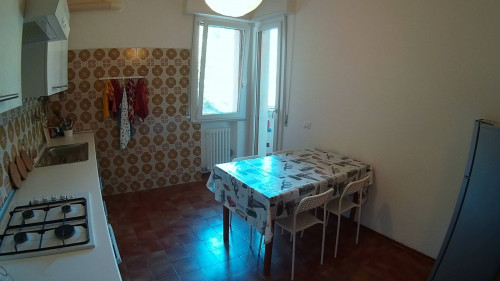 Stanza in affitto a Cesena