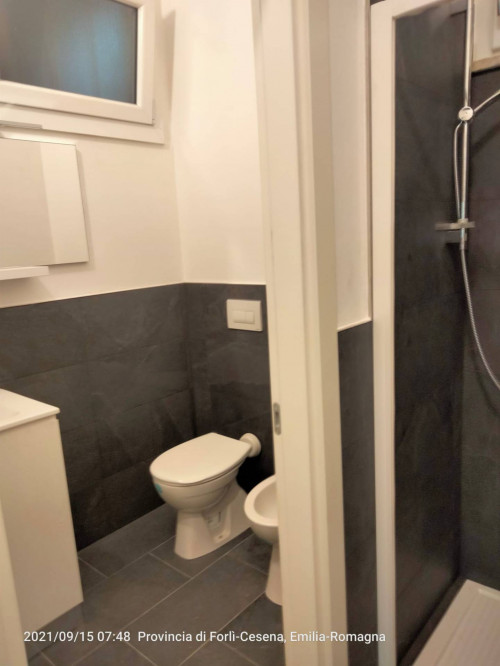 Stanza in affitto a Cesena