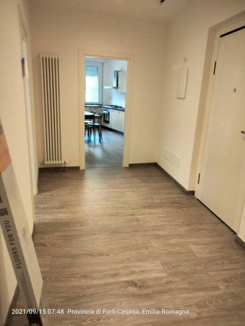 Stanza in affitto a Cesena