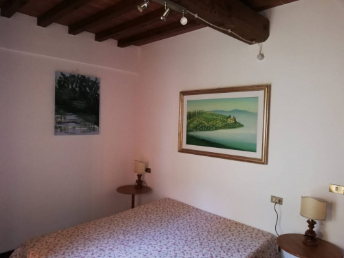 Appartamento in affitto a Montaione
