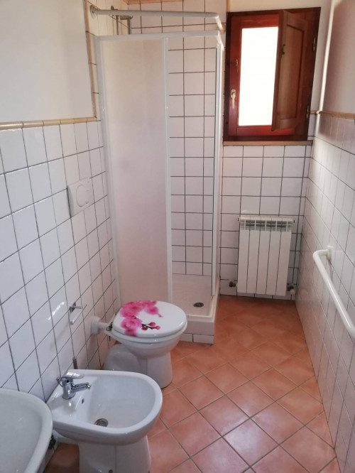 Appartamento in affitto a Montaione