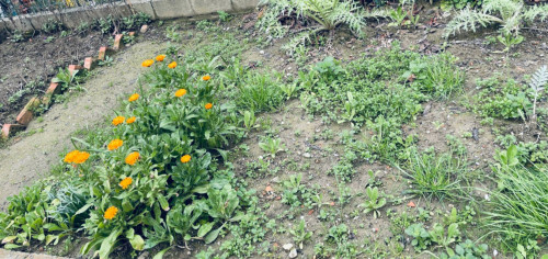 Appartamento in vendita a San Miniato