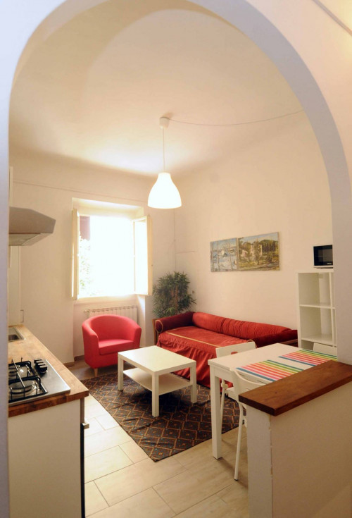 Appartamento in affitto a Firenze
