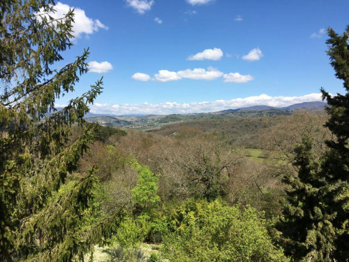 Appartamento in affitto a Reggello