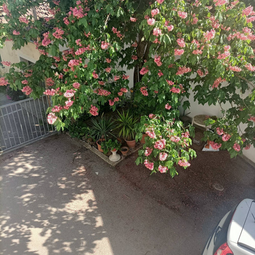 Appartamento in affitto a Empoli