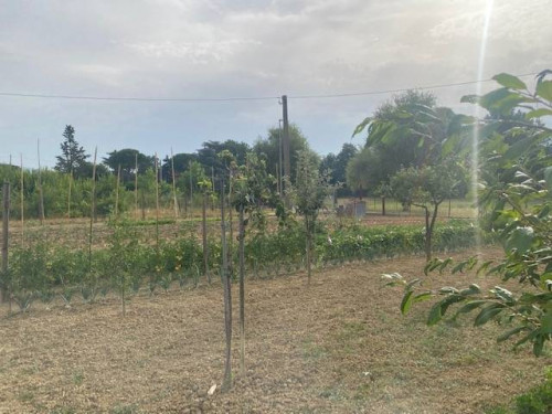 Terreno Agricolo in vendita a Empoli