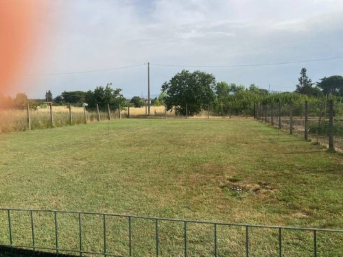 Terreno Agricolo in vendita a Empoli