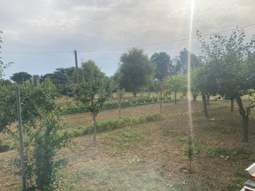 Terreno Agricolo in vendita a Empoli