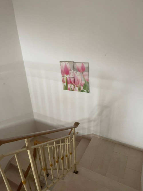 Appartamento in affitto a Vinci