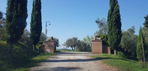 Residence in affitto a Capraia e Limite