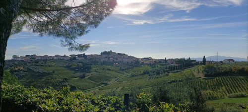 Appartamento in affitto a Cerreto Guidi