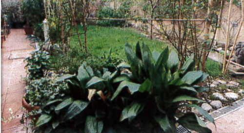 Casa indipendente in vendita a Santa Croce sull'Arno